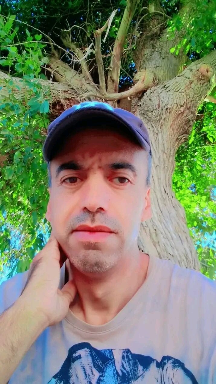  ,    , 37 ,   ,   