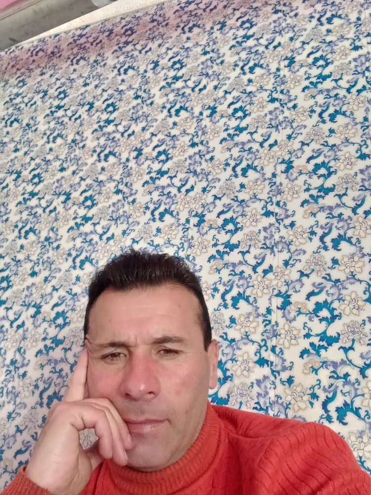  31798352  , 43 ,    