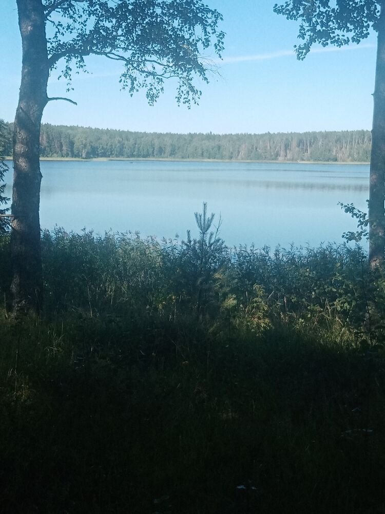  ,   , 33 ,   ,   , 