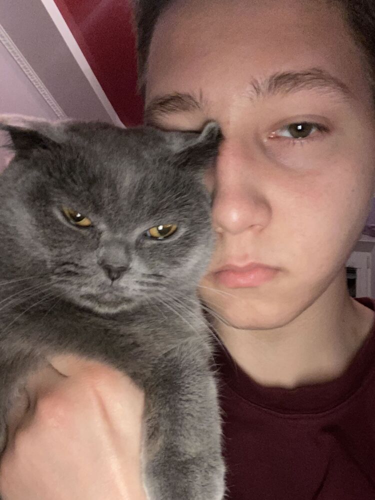 ���� 29808102 ����� ��������, 23 ����, ���� ���������� � ������