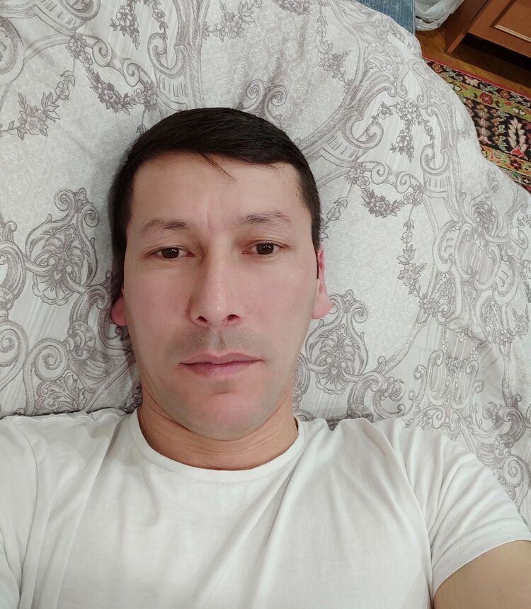 ���� 24428782 ������� �����, 36 ���, ���� ���������� � ������