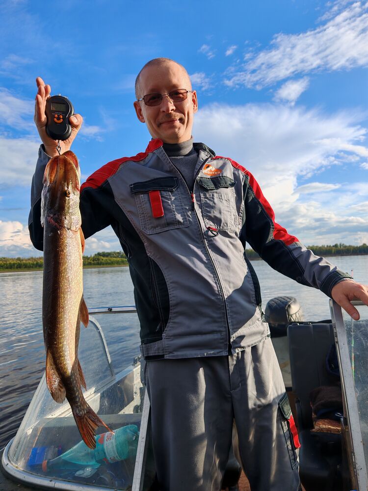 ���������� �����������, ���� ������� �������, 46 ���, ������������ ��� ������, ����� � ���������, c�������� ���������