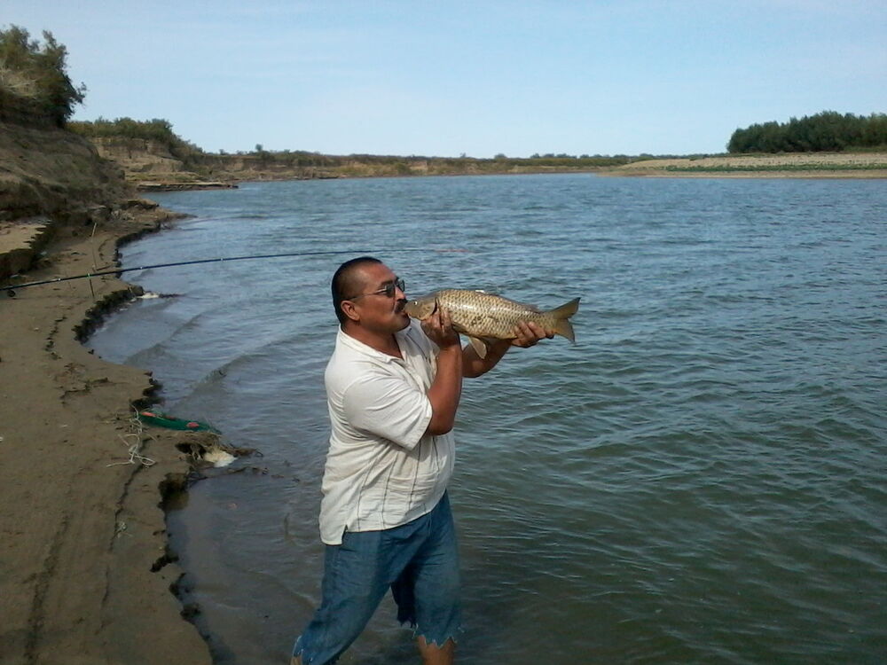  ,   , 63 ,  