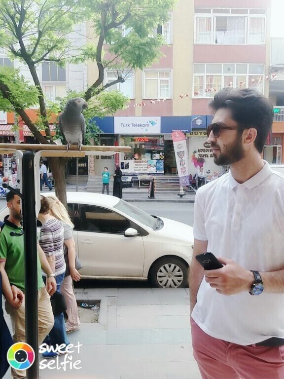 ���� 37552652 ������� ������, 35 ���, ���� ���������� � ������