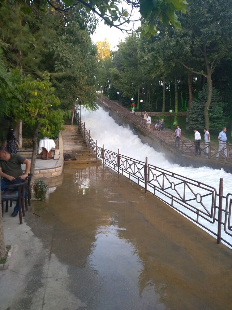 ���������� �����, ���� ������� ���, 43 ����, ������������ ��� ������, ����� � ���������, c�������� ���������