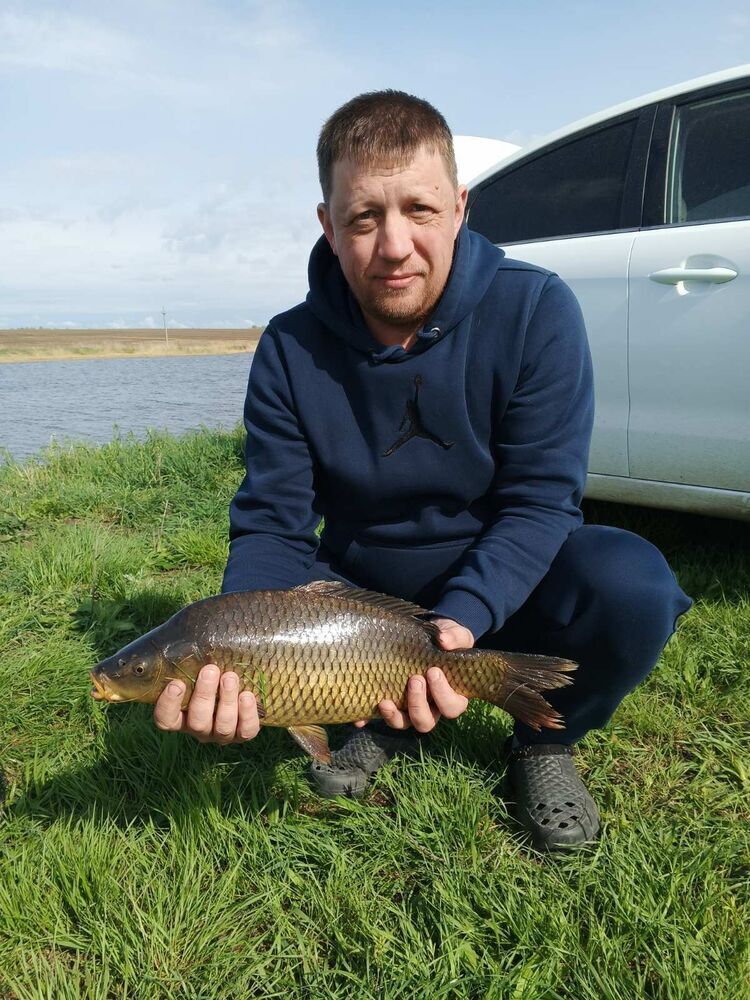 ���� 55430862 ������� ��������, 41 ���, ���� ���������� � ��������