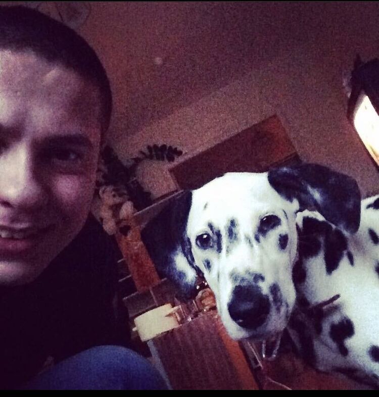 ���������� �����, ���� ������� ������, 31 ���, ������������ ��� ������, ����� � ���������, c�������� ���������, ���������