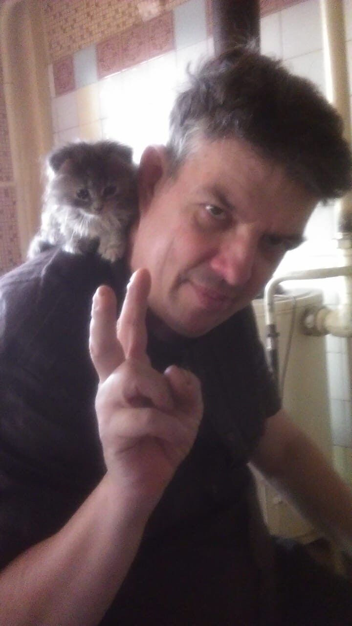  52080292  , 56 ,    --