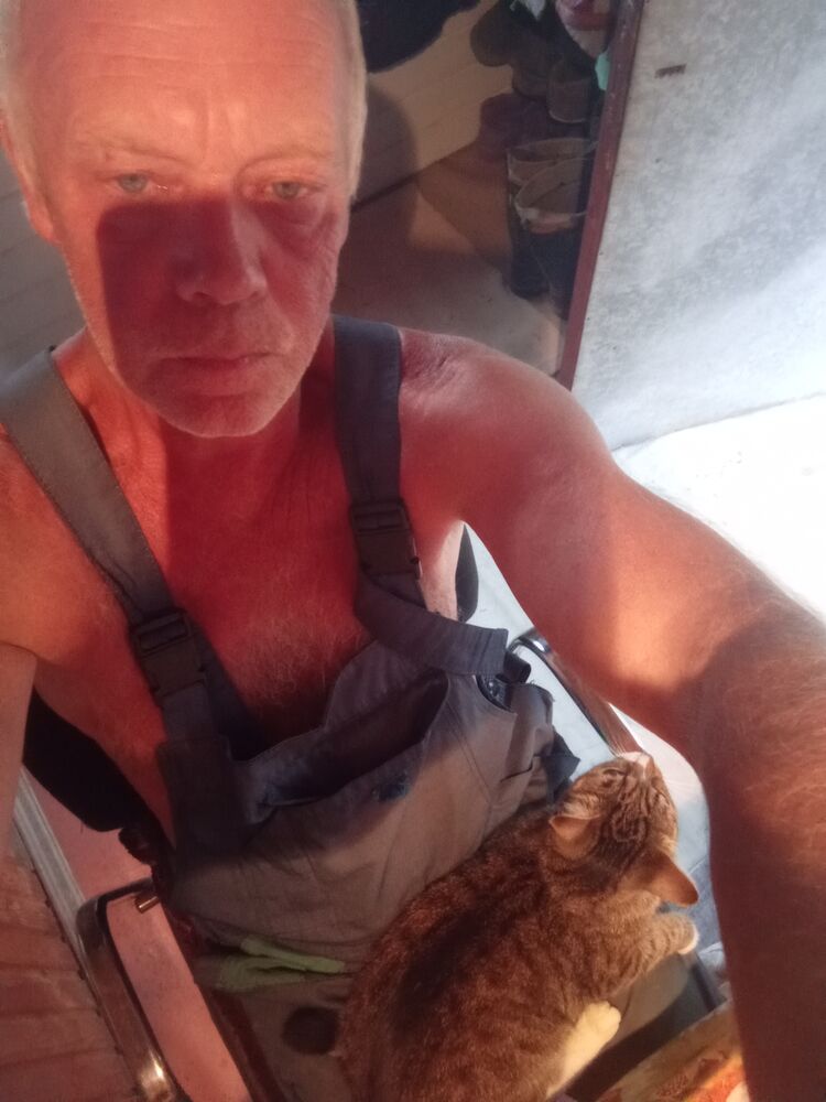  54535492  , 65 ,    -