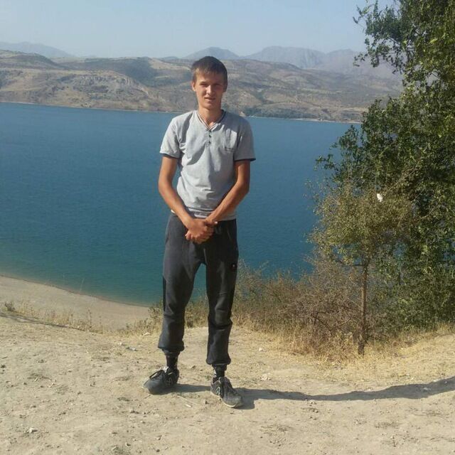  33428492  , 26 ,    