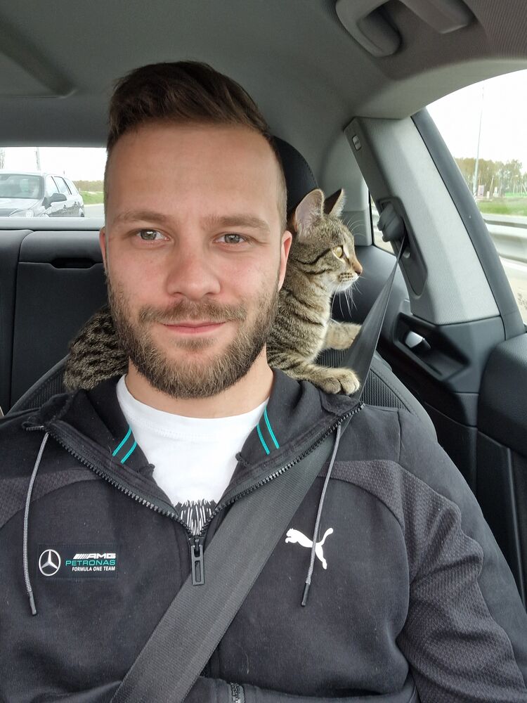 ���������� ������ ��������, ���� ������� �����, 29 ���, ������������ ��� ������