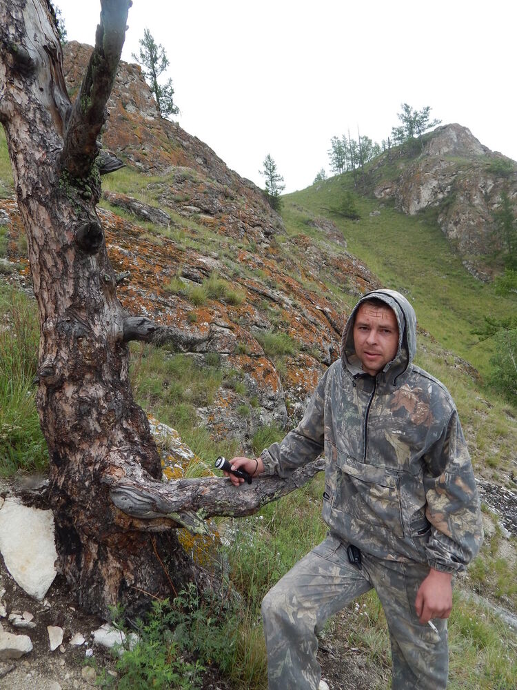 ���������� �����������, ���� ������� �������, 39 ���, ������������ ��� ������, ����� � ���������, c�������� ���������