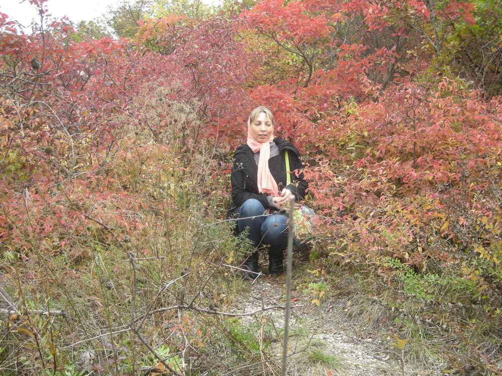 ���������� �������, ���� ������� ���, 47 ���, ������������ ��� ����� � ���������, c�������� ���������