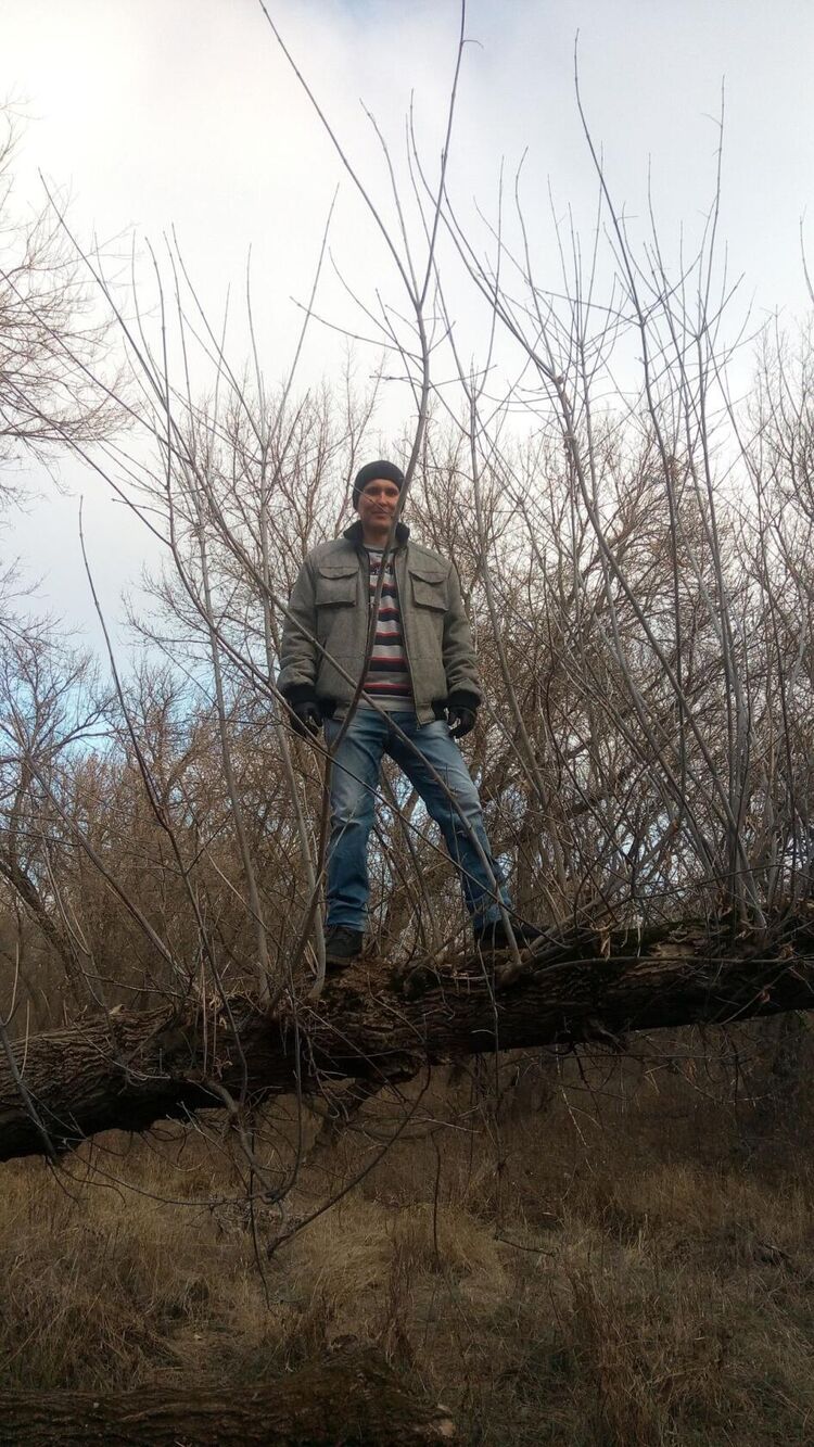 ���������� �������, ���� ������� ����, 41 ���, ������������ ��� ������, ����� � ���������