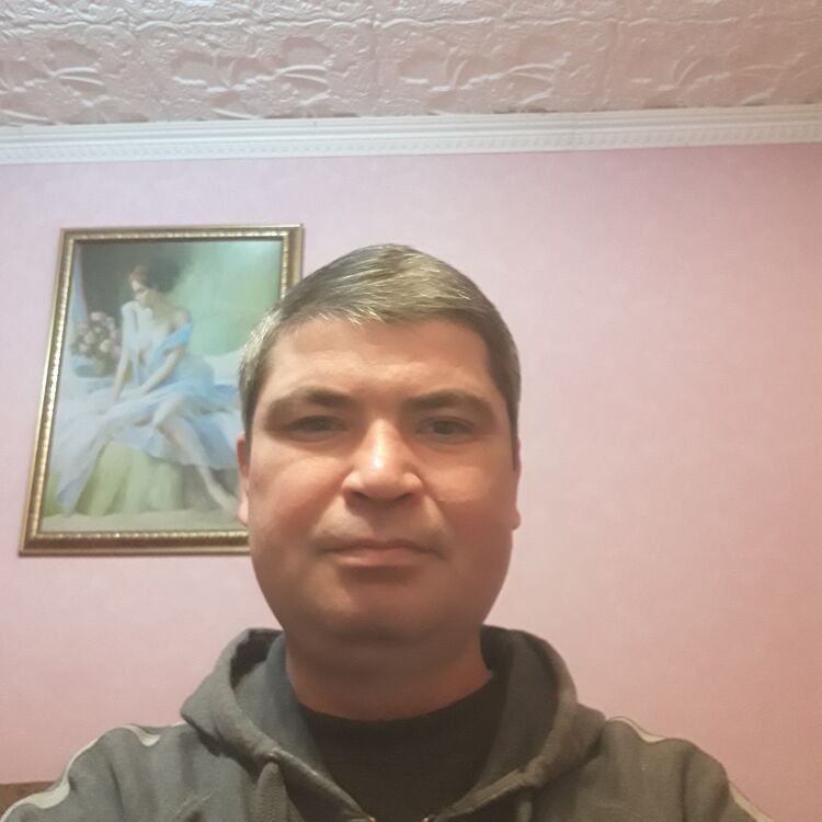  24657642  , 48 ,    