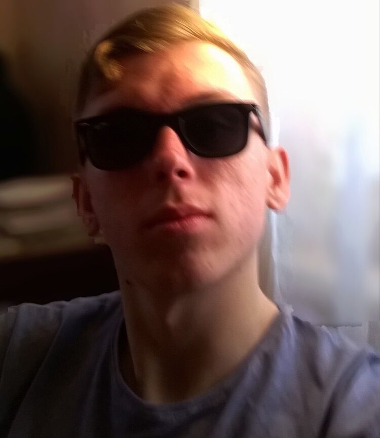  12328662  , 28 ,    