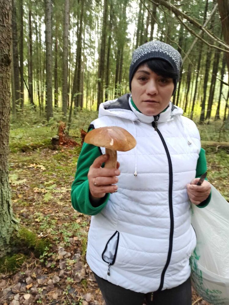 ���� 38342532 ������� ������, 42 ����, ���� ���������� � �����-����������