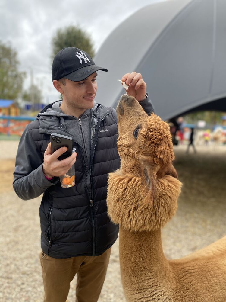 ���������� �����, ���� ������� �����, 32 ����, ������������ ��� ������, ����� � ���������, c�������� ���������, ���������