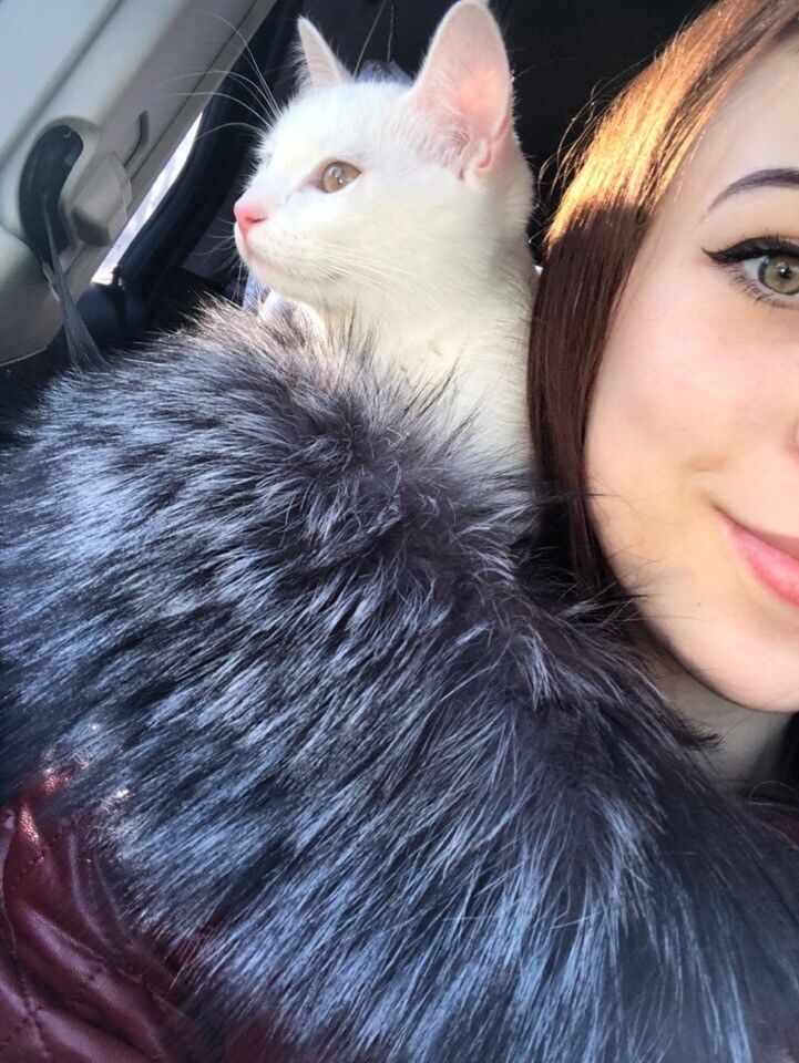 ���������� �����-���������, ���� ������� �����, 27 ���, ������������ ��� ������, ����� � ���������, c�������� ���������