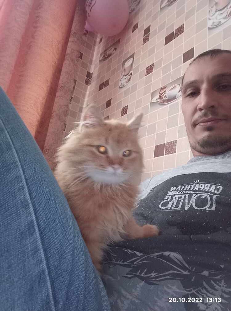  ,   Den, 42 ,   , 