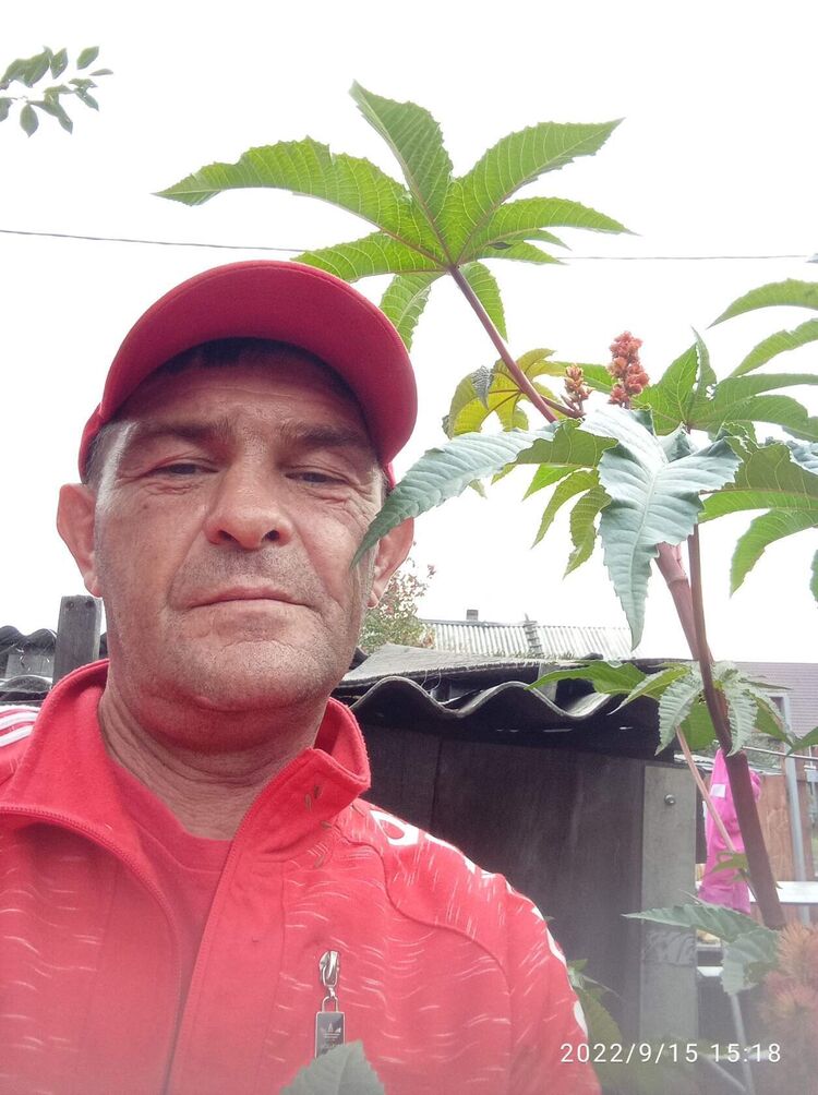  ,   , 50 ,   ,   , c , 