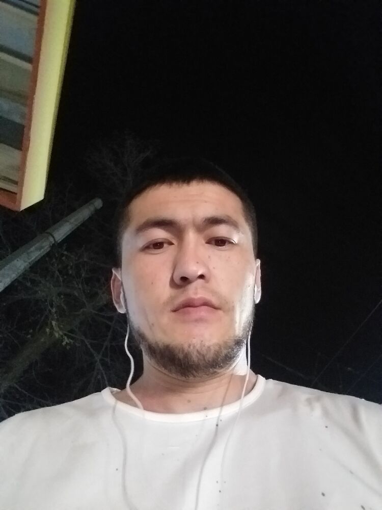  24108282  , 31 ,    
