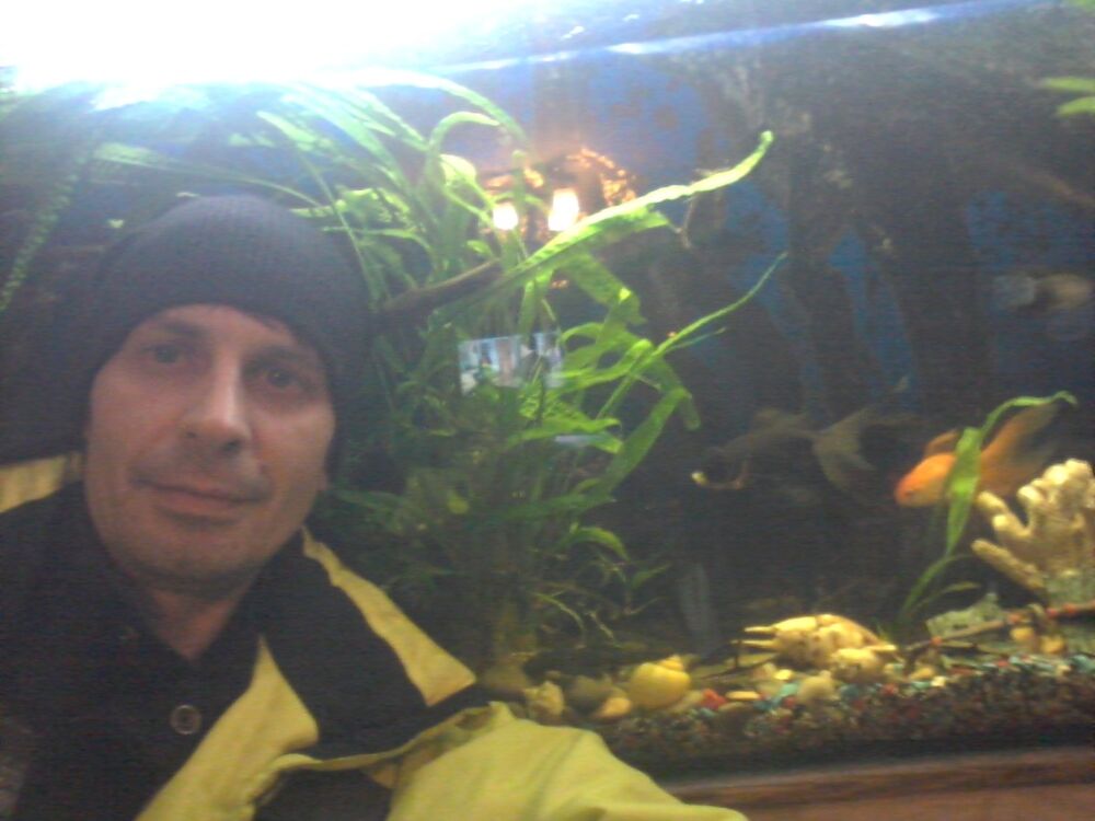  ,   Serj, 46 ,   