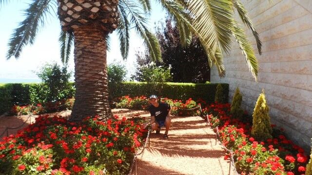 ���������� �����, ���� ������� ������, 30 ���, ������������ ��� ������, ����� � ���������, c�������� ���������