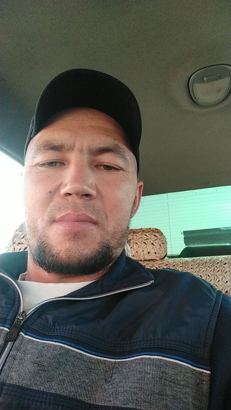 ���������� �������, ���� ������� Temur, 35 ���, ������������ ��� ������, ����� � ���������