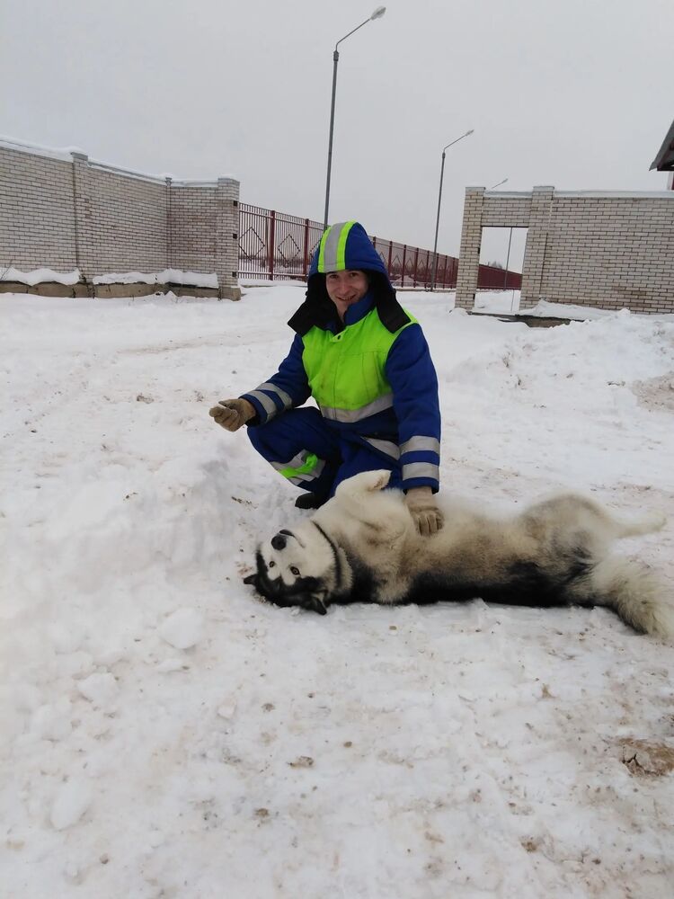 ���� 26421012 ������� ����, 33 ����, ���� ���������� � ������� ���������