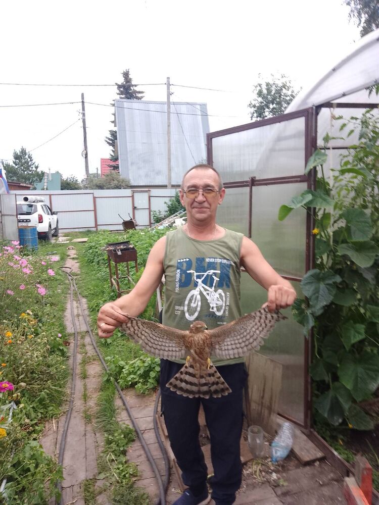  ,   , 57 ,   