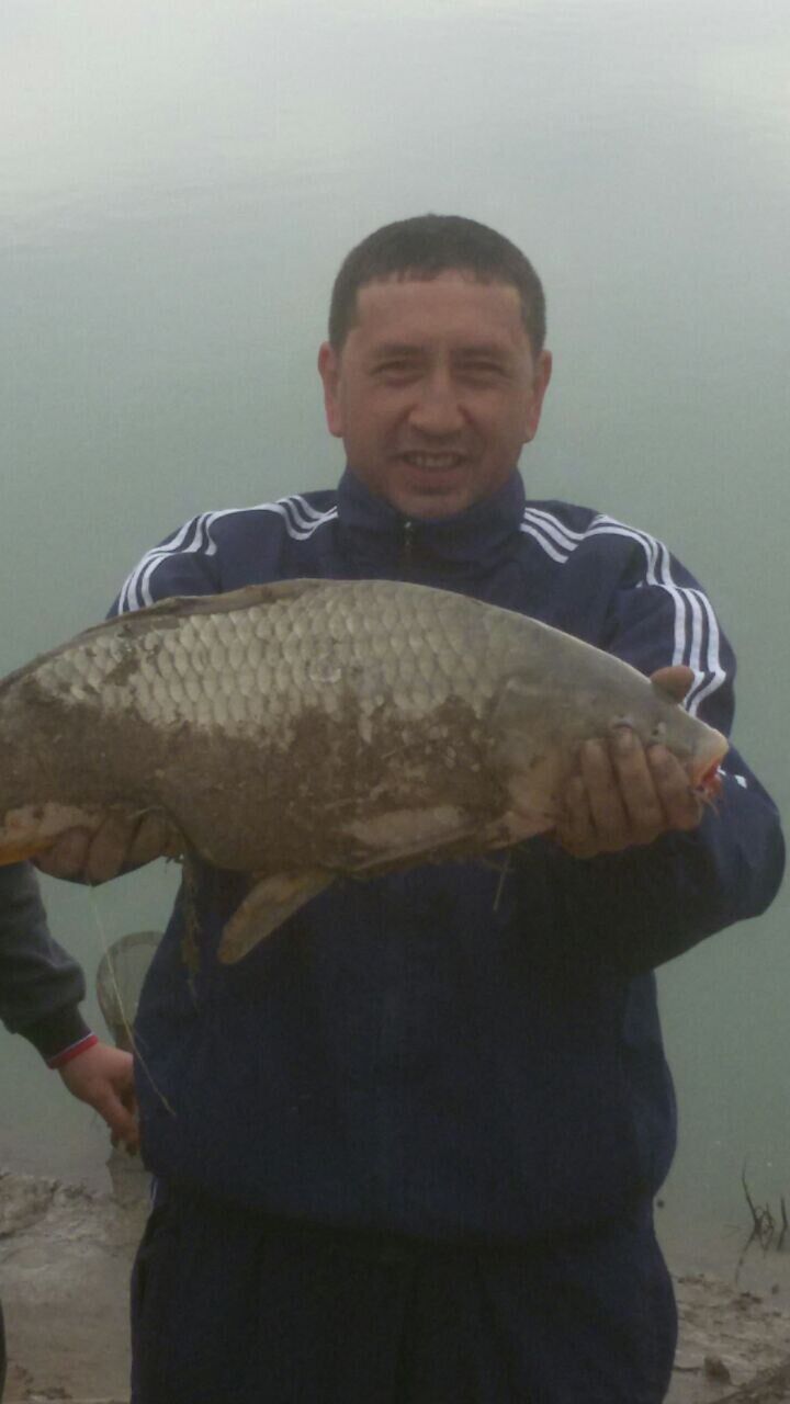 ���� 29086232 ������� Orif, 44 ����, ���� ���������� � ��������