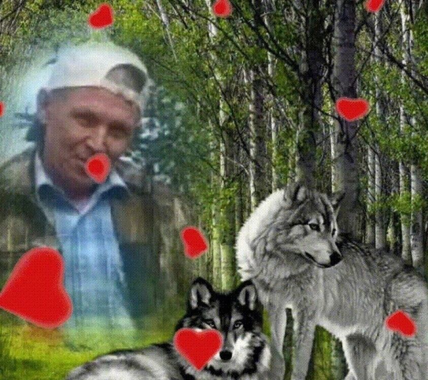 ���� 16977602 ������� ������, 53 ����, ���� ���������� � ������