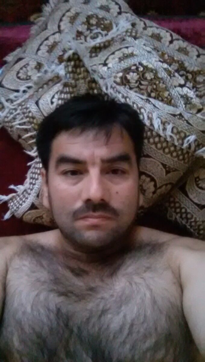  6239592  , 51 ,    