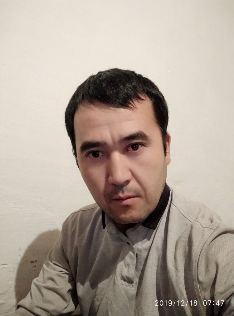 ���� 18453322 ������� Emil, 40 ���, ���� ���������� � �������