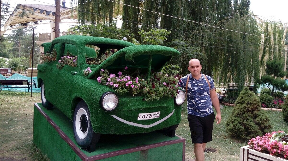 ���� 17802822 ������� �������, 44 ����, ���� ���������� � ����� �������