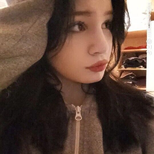  49492782  , 21 ,    