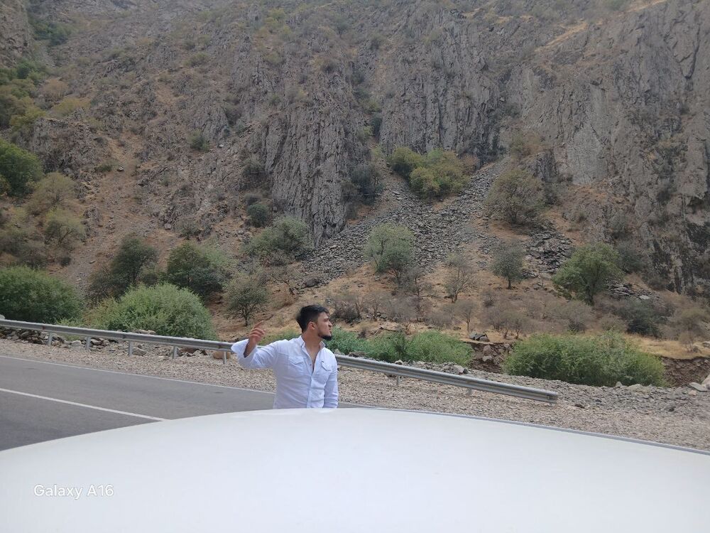  54167682  , 40 ,    -