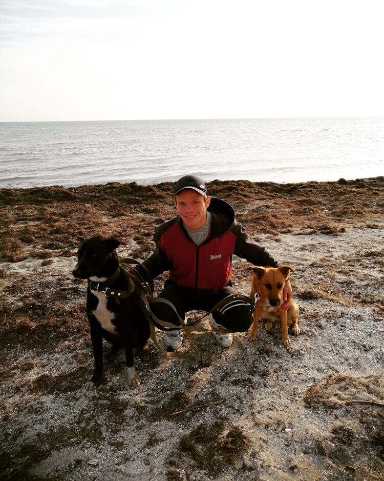 ���� 24636522 ������� ����, 34 ����, ���� ���������� � ���������