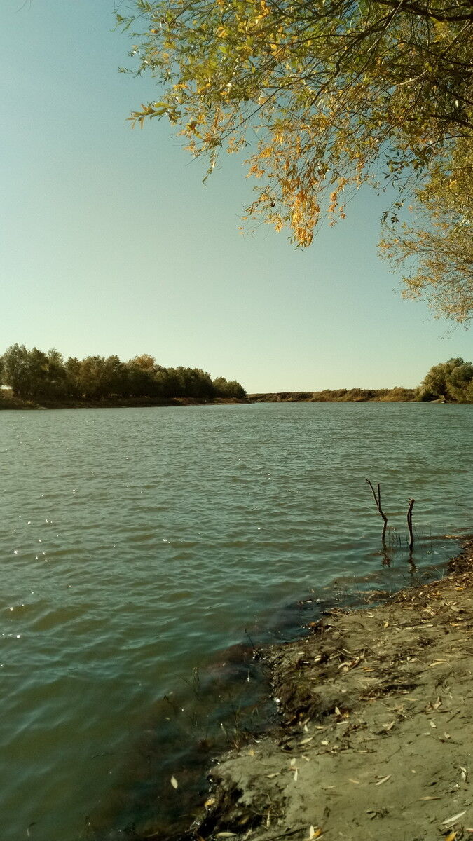 18423992  , 61 ,    