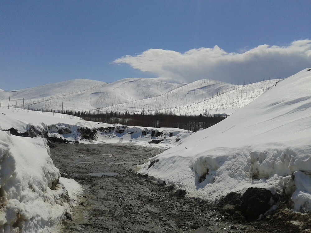  5797122  Aleksei, 48 ,    