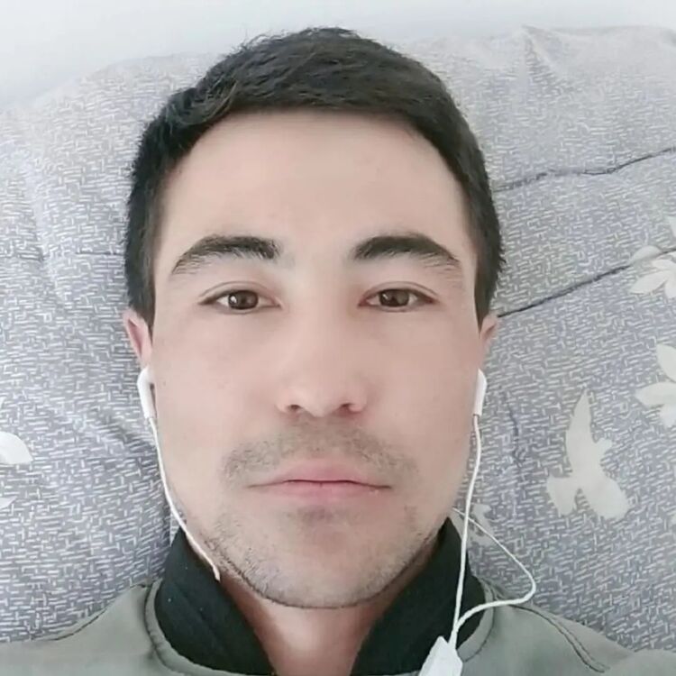 ���� 24681082 ������� Alisher, 31 ���, ���� ���������� � ��������