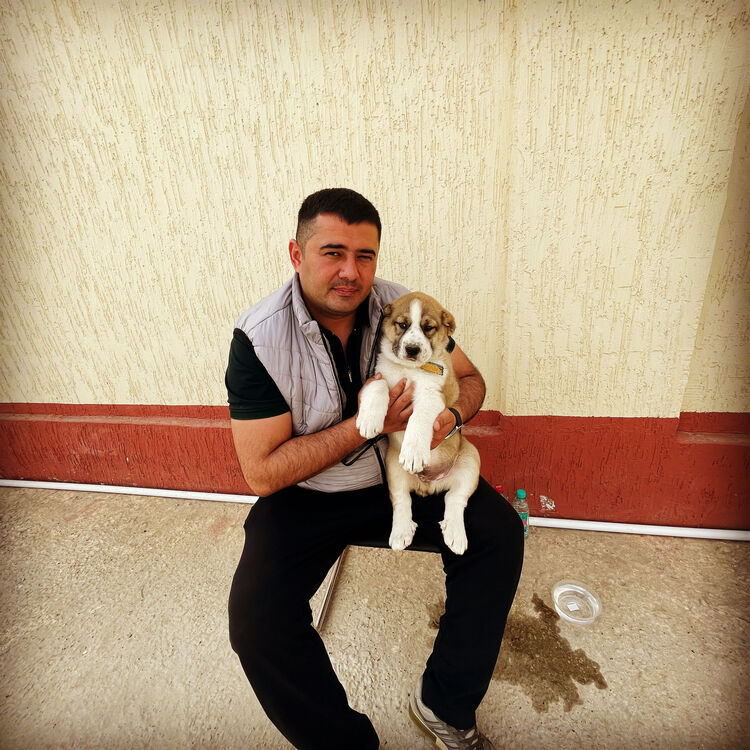 ���������� �����-���������, ���� ������� ����, 37 ���, ������������ ��� ������, ����� � ���������, c�������� ���������