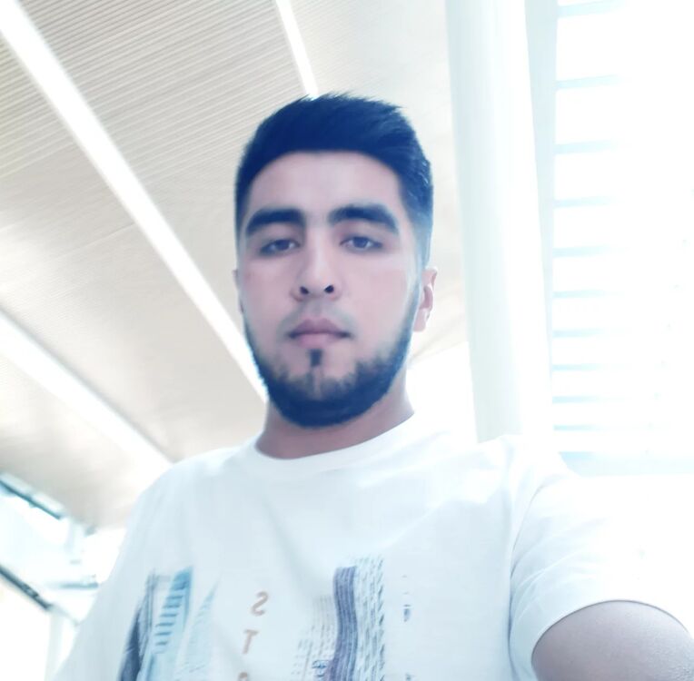  29031462  , 38 ,    --