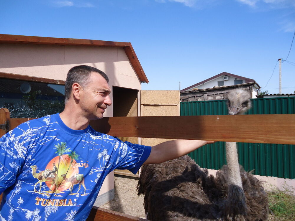 ���� 7271252 ������� ����, 55 ���, ���� ���������� � ���������