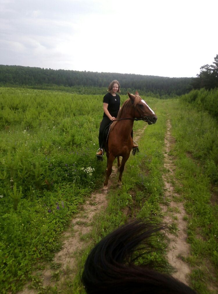 ���������� �������, ���� ������� �����, 23 ����, ������������ ��� ������, ����� � ���������, c�������� ���������, ���������