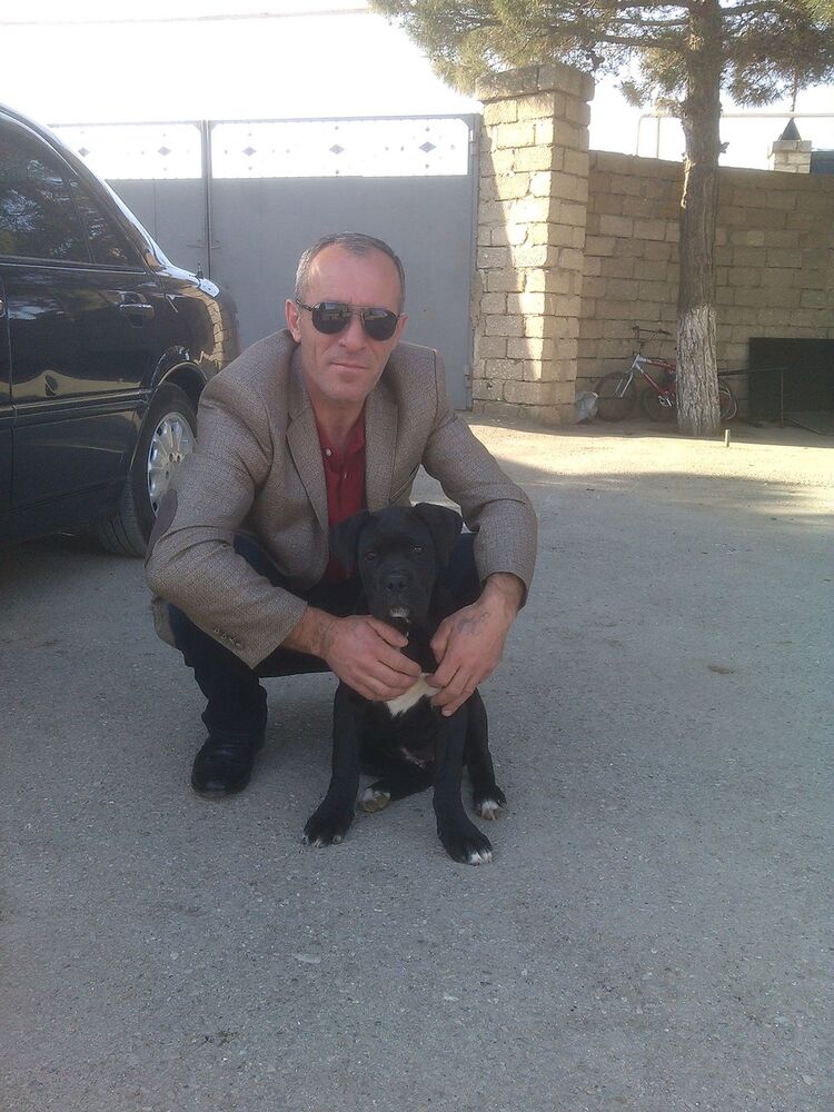 ���� 5933702 ������� Vuqar, 51 ���, ���� ���������� � ����