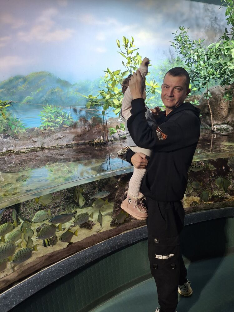 ���� 55277972 ������� ���������, 43 ����, ���� ���������� � �������