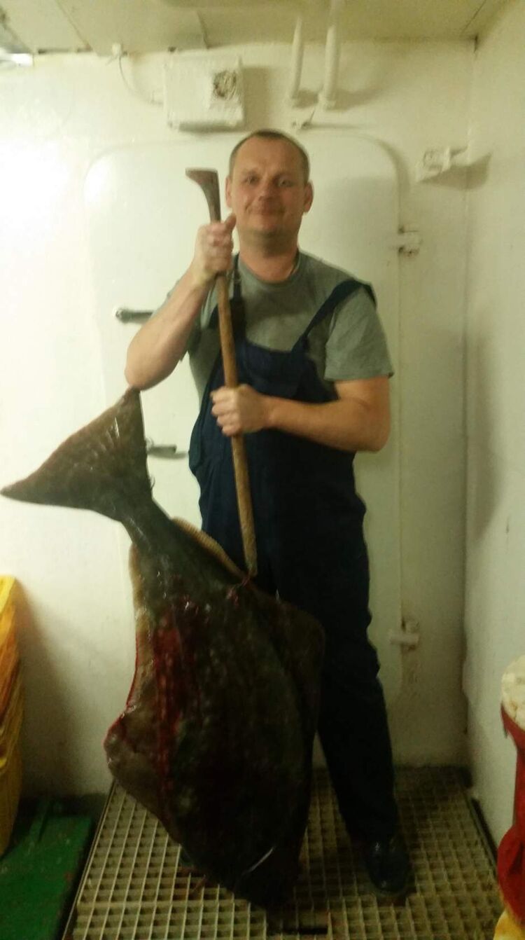  42731182  Fish meal, 47 ,    