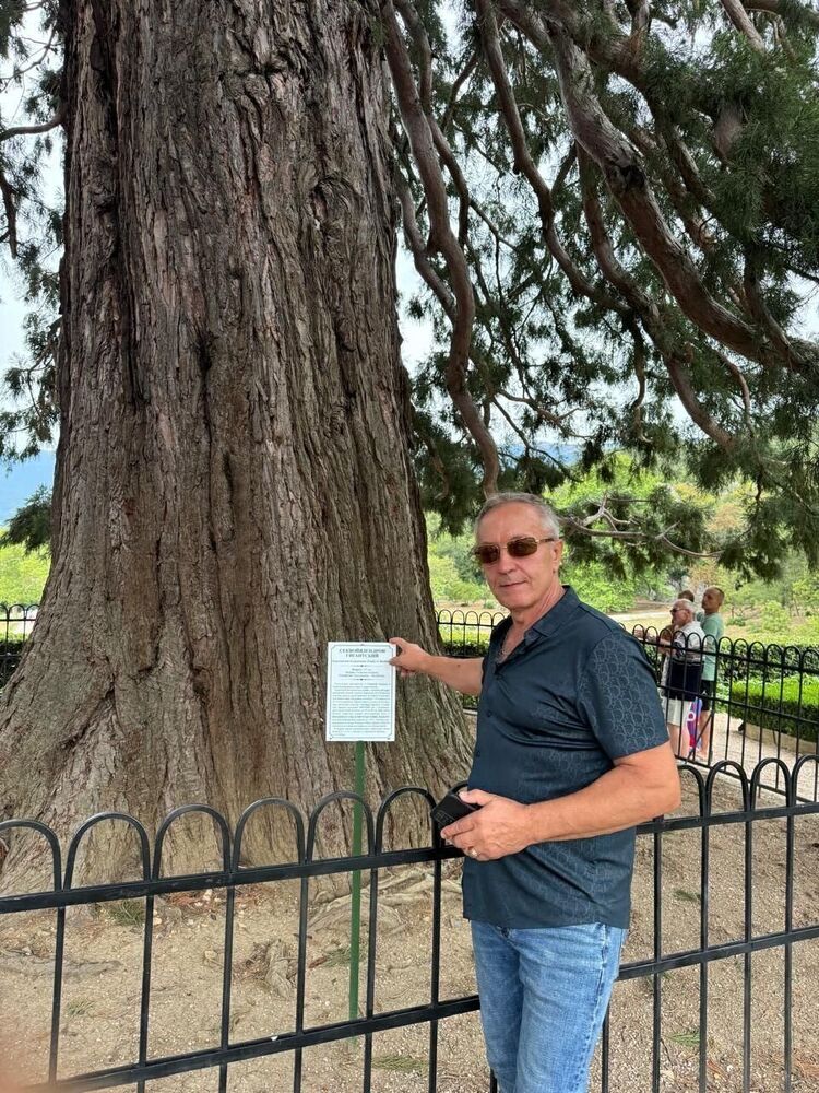 ���� 56186732 ������� ����, 58 ���, ���� ���������� � ����������